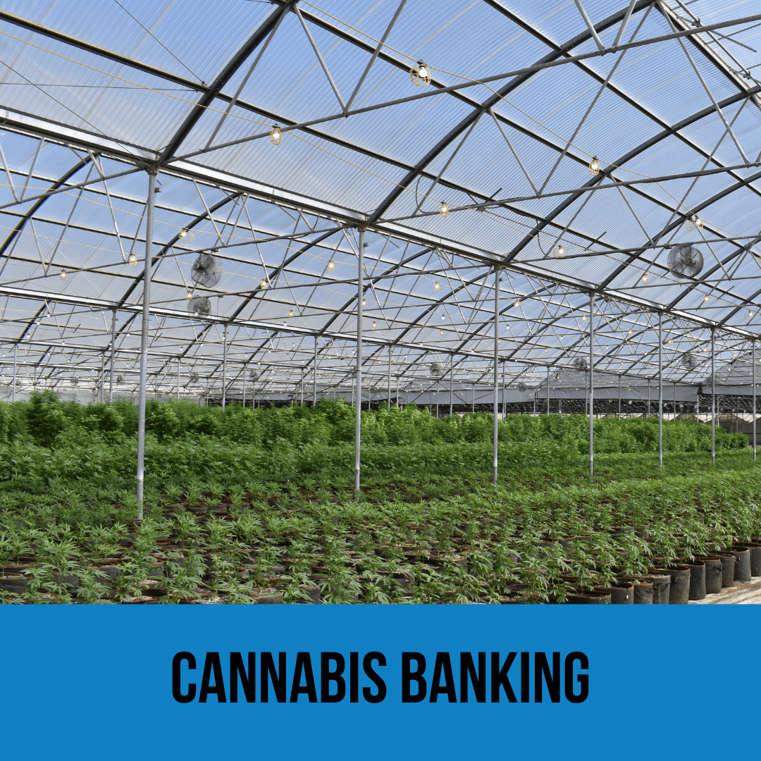 Lupos Family Generations